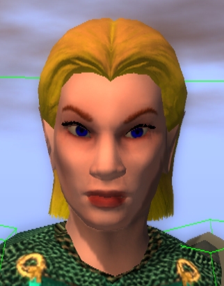 Robin with Half-Elf Head #5